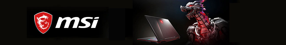 MSI Banner